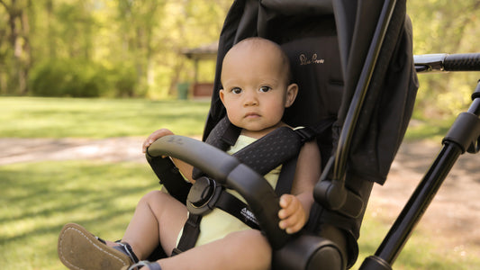 Video: Strolling with the Silver Cross Comet Eclipse - The Baby Cubby