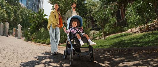 Introducing the Bugaboo Dragonfly Stroller!