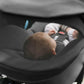 Clek Liingo Infant Car Seat