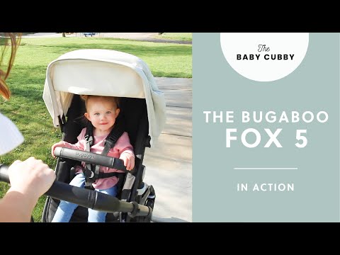 The Bugaboo Fox 5 Stroller in Action