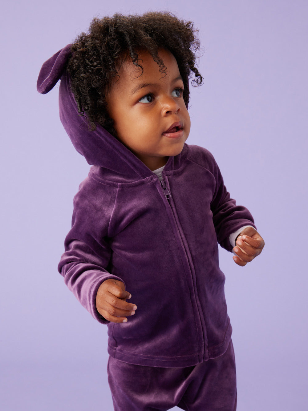 Tea Collection Bunny Ears Velour Baby Hoodie - Purple Punch